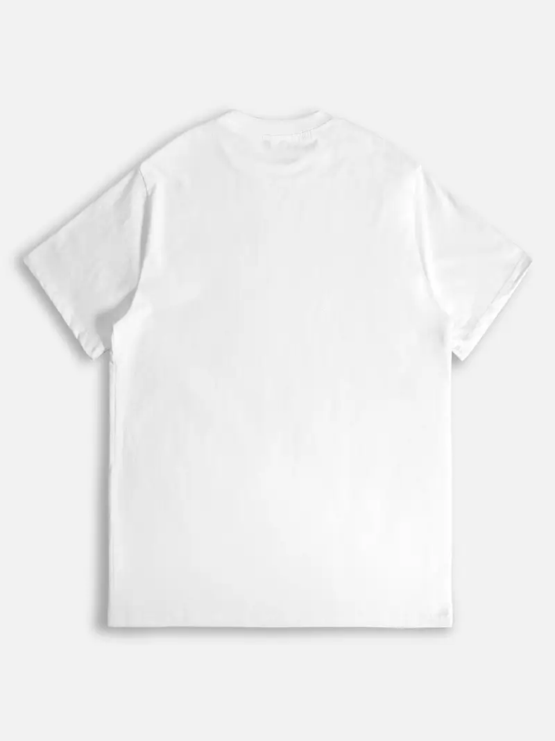 5067_4.png